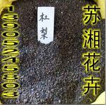 林木种子------杜梨种子一斤40元