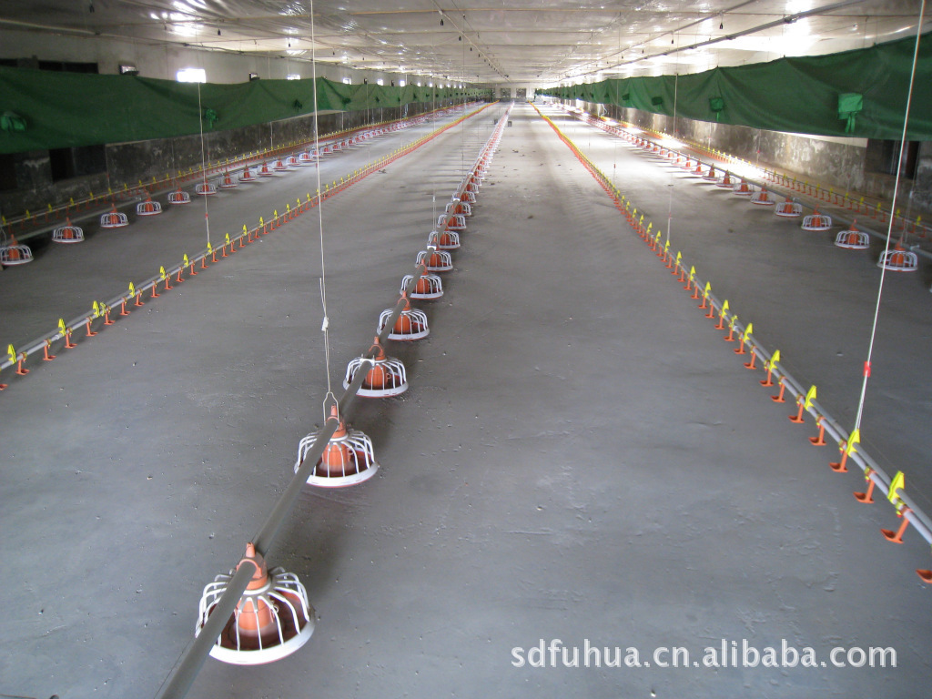 供应养鸡养鸭设备，商品鸡平养自动料线，青州富华农牧机械