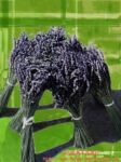 现货批发纯天然芳香薰衣草田园家居礼品