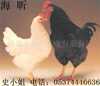 ���ڹ�Ӧ�����������ƣ���ױƷ����