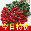 【全民疯抢】批发供应仿真玫瑰花-高档仿真玫瑰-仿真植物