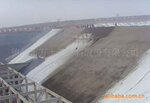 ����Ĥ ��������Ĥ������Ĥ ���ܺ�����Ĥ 13774951553����Ĥ
