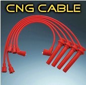 CNG��Ȼ�������