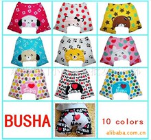 PP�� ����ֱ�� 2012��BUSHA�����Ŀ����ִ�PP�� ����