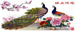 ��Ӧ���мҾ�����ˮ�ƻ���������