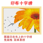 ����ӡ��ʮ���� Ʒ��ʮ���� ����-���ӡ���೵ʮ����
