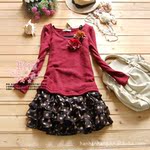韩版精品两件套连衣裙 春装女装批发日韩服装 服装批发 直销女装