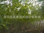 ��Ӧ�̻���ľ�ϻ������պϻ�����������ӧ�����޻���