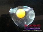 发泄(鸡蛋)水球 发泄玩具 搞怪玩具 整蛊玩具 整人玩具 100g
