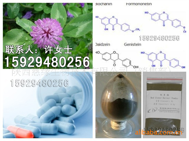 供應：紅車軸提取物|紅車軸總異黃酮工廠,批發,進口,代購