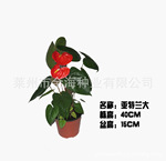��Ӧ���ư��Ʒ��&mdash;&mdash;��������