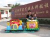 芜湖宝艺新款游乐车,游乐设备,电瓶车