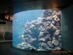 【索浦鱼缸】大型压克力圆柱鱼缸/水族箱/异形亚克力水族箱 80/kg