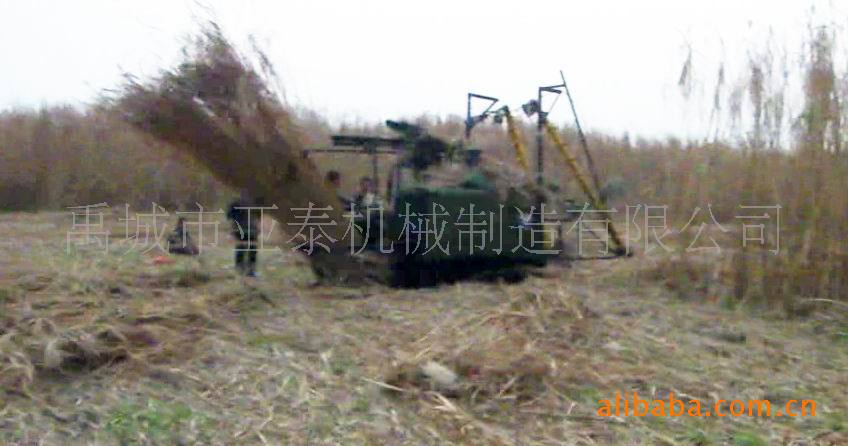 山东亚泰芦苇收割机