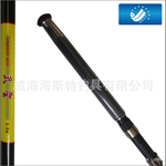 海斯特渔具武胜海竿2.7米碳素竿手竿钓鱼竿短节海钓具