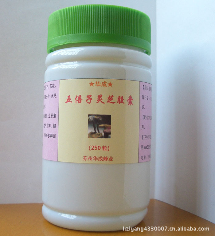 厂家大量直销原产地优质野生五倍子