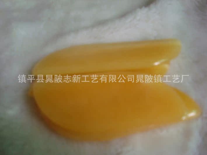 DSC04730