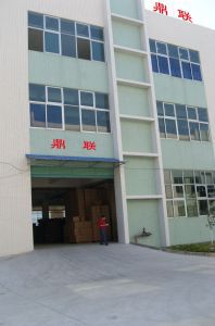 dgdinglian2009_29768850