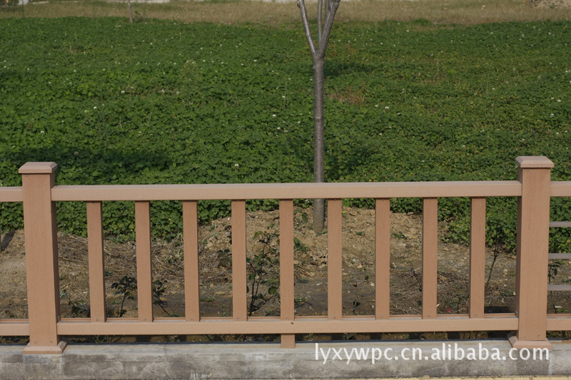 _MG_5601 (800x533) (800x533)