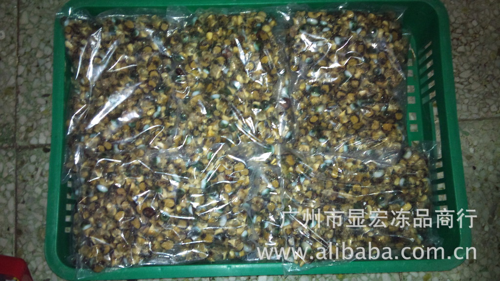 眼睛螺:海南眼睛螺一种奇特的海螺,生长在海边的大岩上,是十分少见的