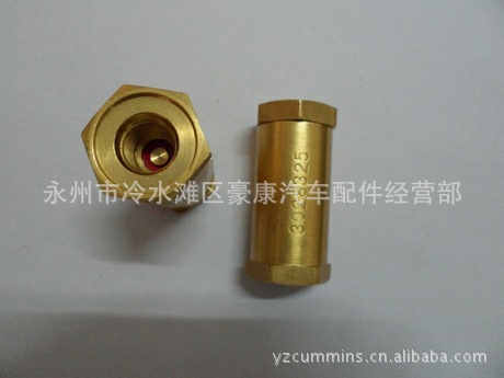 NT855单向阀3028325