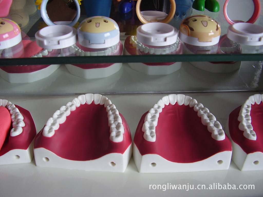 来样图定制_牙齿模型教学课用品_仿真牙齿口腔护理_搪胶工艺