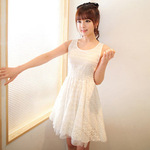 2012夏季新款 甜美全蕾丝气质圆领皱褶双色A型修身 背心裙*3970
