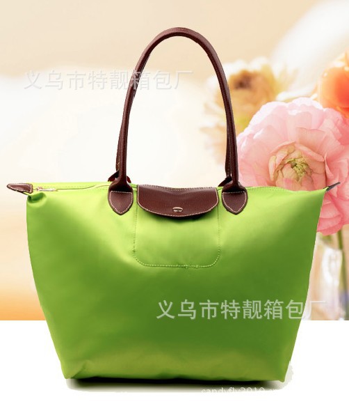 nylon folding bag (8)