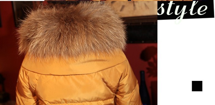 Женский пуховик Brand Down Утеплённая модель С меховым воротником Классический рукав Короткая (40 см<длина одежды≤50 см) Женский пуховик Brand Down Зима 2012 Городской стиль С меховым воротником Молния Утеплённая модель