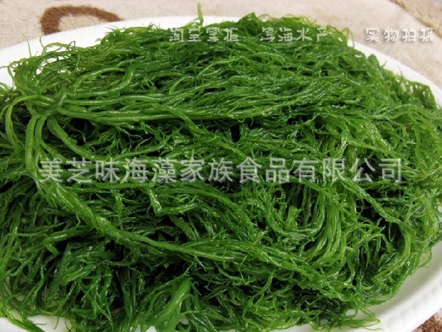 红绿海发菜.龙须菜特产(场地-福建.霞浦)