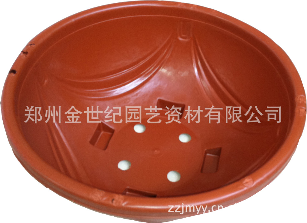 吊兰盆图片
