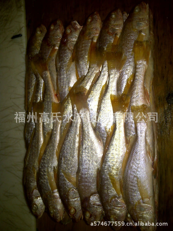 專業經銷福州高氏水產墨西哥黃魚