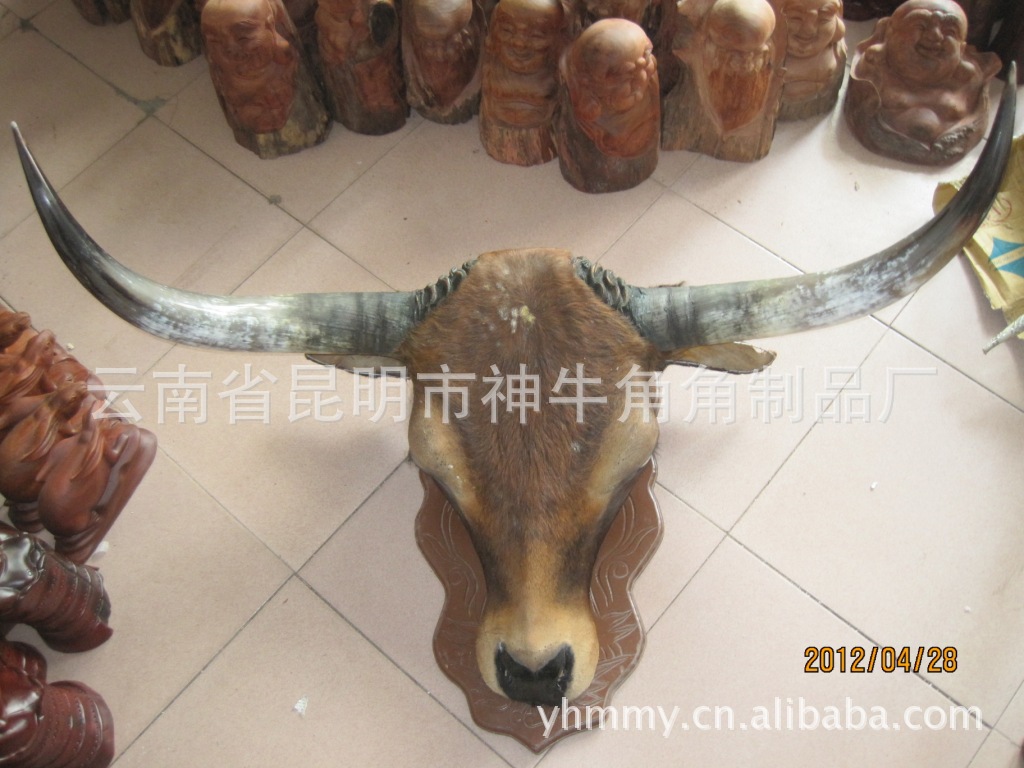 图腾摆件批发 神牛角品牌非洲角牦牛头架 酒店玄关装饰牛角摆件
