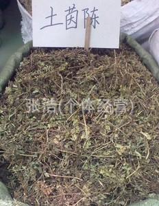 中药材野生 土茵陈 土香薷 小叶薄荷 满坡香 野荆芥 白花茵陈