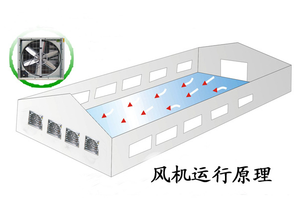 邦驰养鸡自动喂料设备