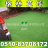 PP材质 休闲耐踩矮草 仿真草坪 工厂型号G010 塑料草格林