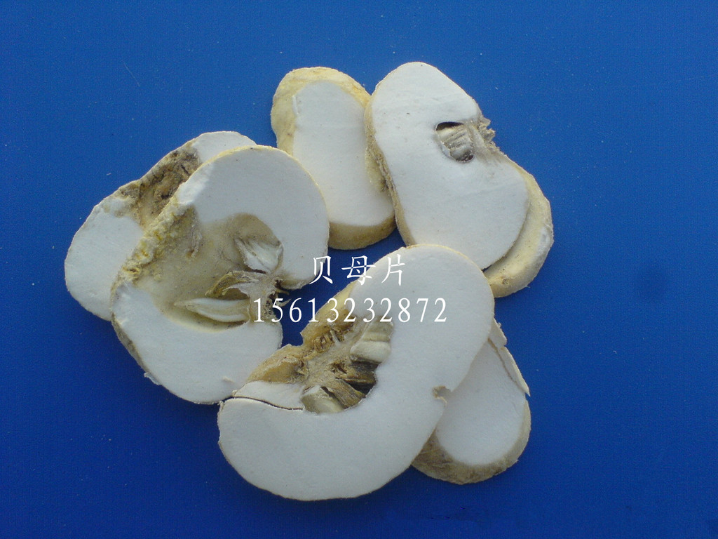 批发供应中药材 中药饮片 植物原材料 贝