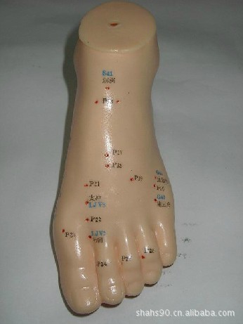 人体足针灸穴位模型脚针灸穴位模型