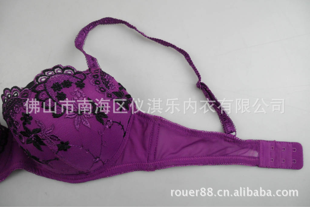 直销批发欧美原单外贸内衣性感时尚刺绣文胸肤色紫色单件文胸胸罩