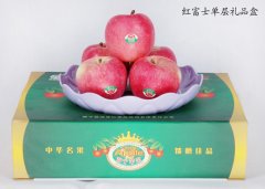 红富士单层礼品盒装苹果