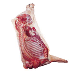 新疆绵羊 空运新疆鲜羊肉 鲜绵羊肉