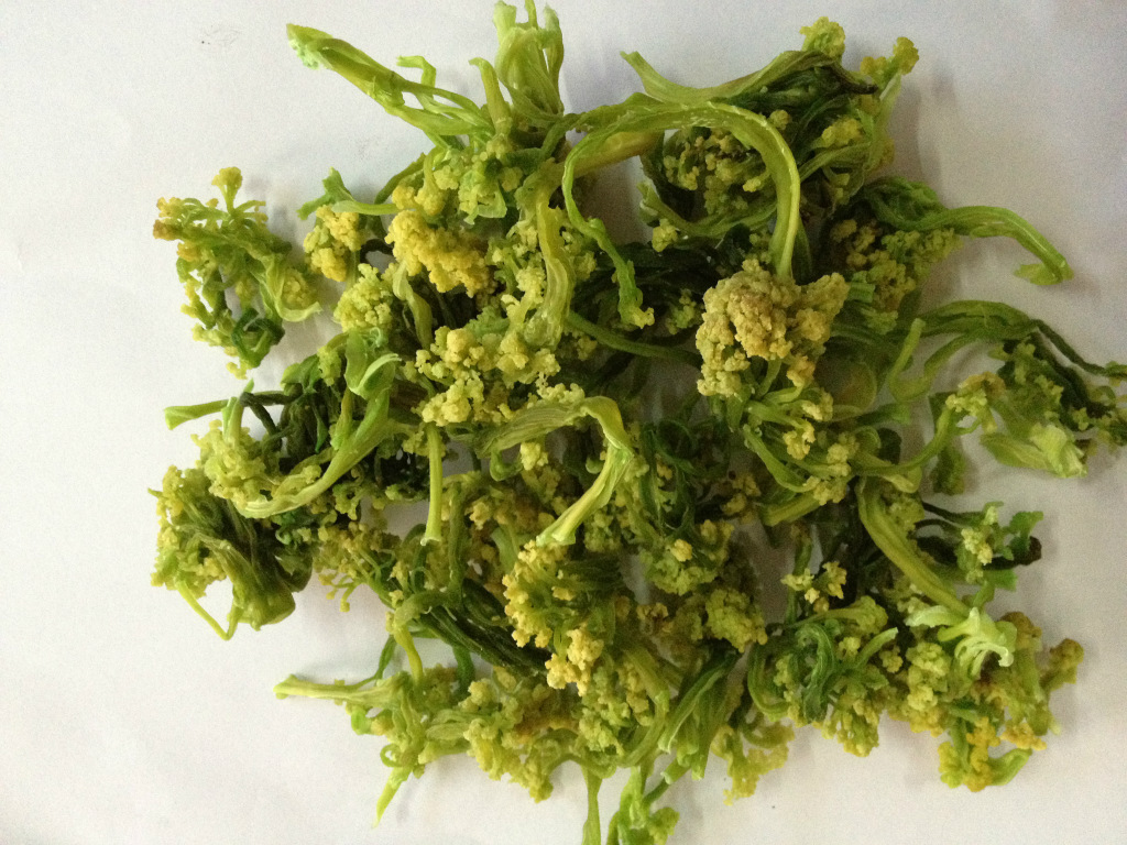 花菜干 脱水蔬菜台湾青梗松花菜 脱水蔬菜 干锅花菜 台湾青 菜干