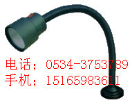 专业供应机床专业白炽灯 LED 卤钨泡工作灯