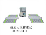 路政专用称重仪