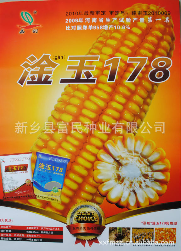 批发玉米种子 高产玉米品种 淦玉178 红轴硬粒米质优