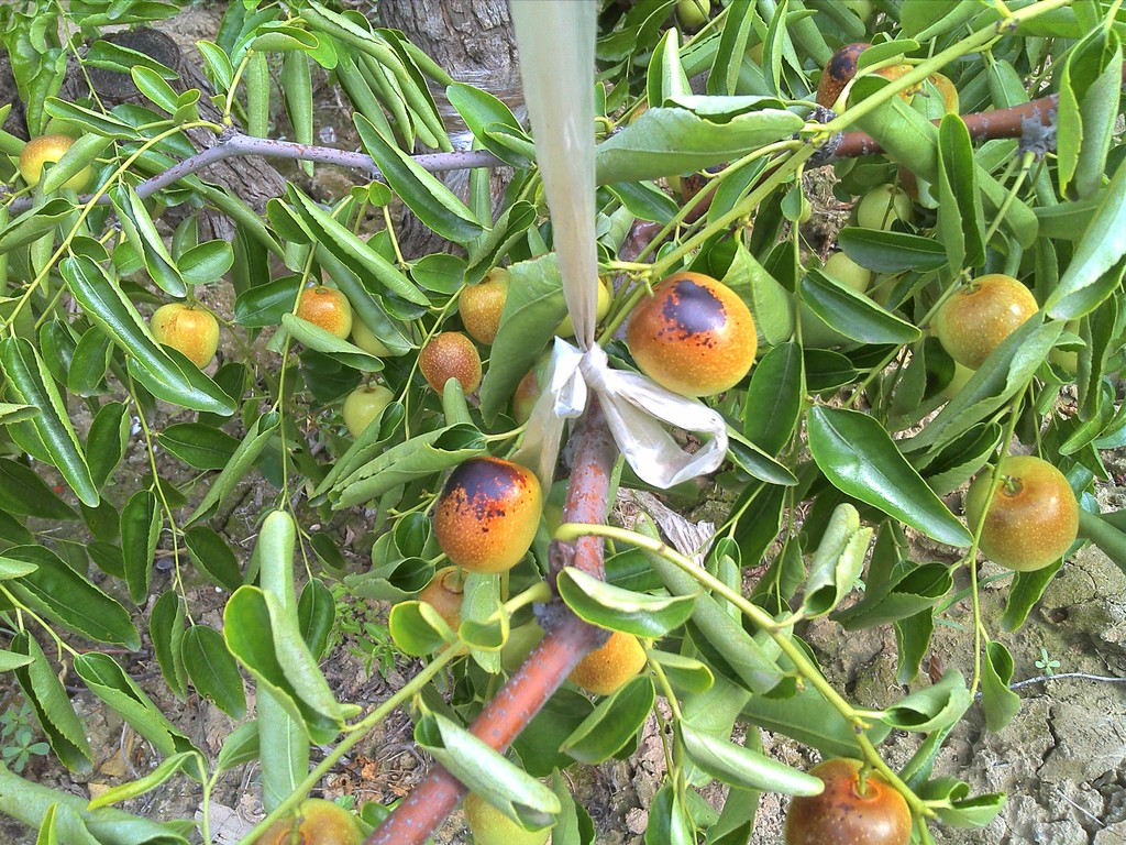 IMG_20120806_092851_0