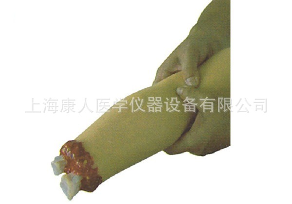 上肢外傷斷肢止血模型