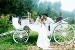 ����ŷʽ����YC-B005 ��Ӱ����������������Ӣʽ����