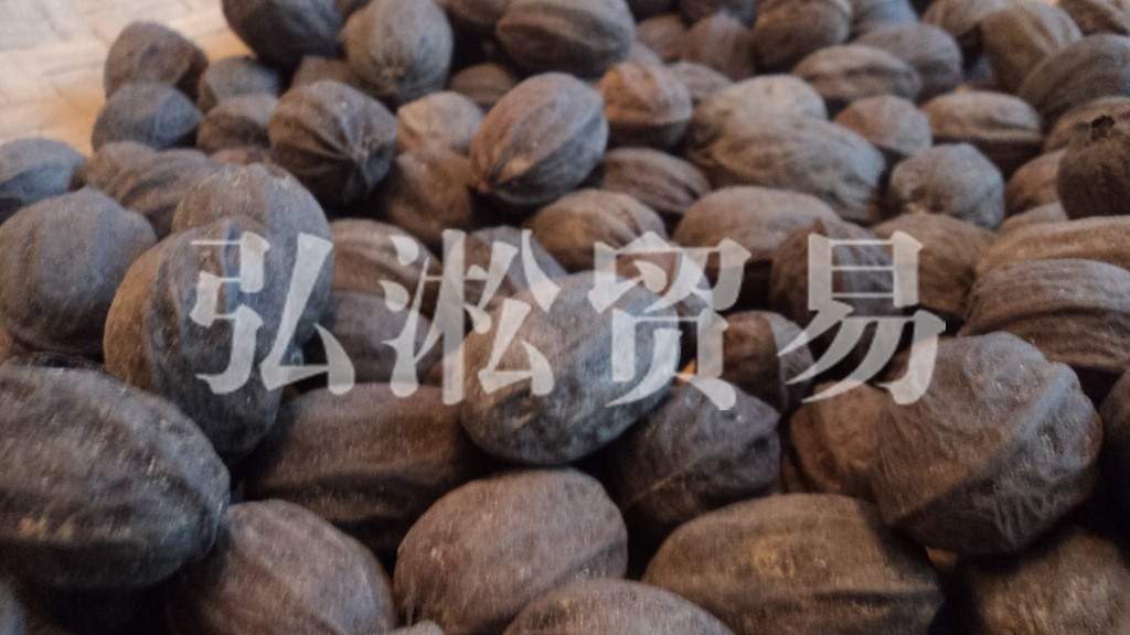 霸王棕种子
