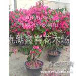 �컨�նž��辰 ����÷԰���̻� С���̻� ��·�̻� ���ع�Ӧ